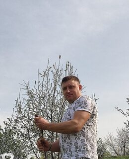 Макс